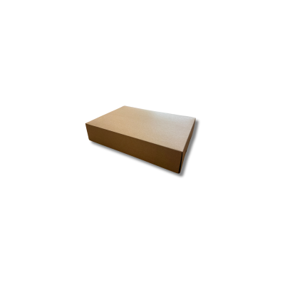 Sc. DAMA 10x10xH8 mono ecolife 1x100pz