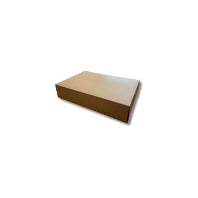Sc. DAMA 17x17xH10 ecolife 1x100pz