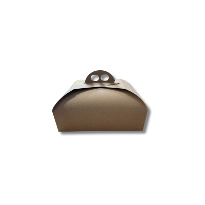 Sc. CLASSIC 25x25xH7 monoECOLIFE 1x100pz