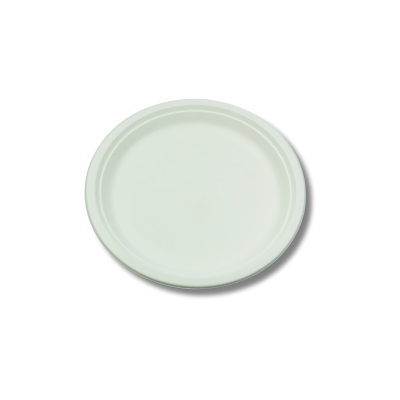 Piatto BIO 23cm polpa 1x10(50)