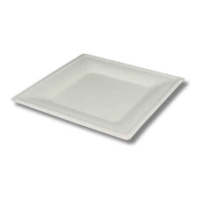 Piatto BIO Quadro G 26x26 1x10(50)