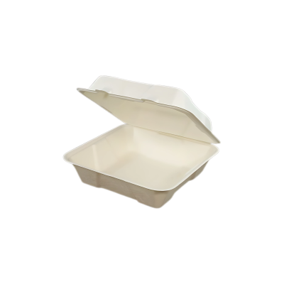 Burg. Lunch Box BIO 20x20x4,5 1x8(50)